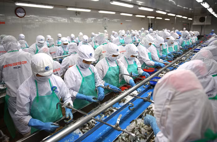 Kết quả kinh doanh bết bát của Minh Phú trái ngược hoàn toàn với kế hoạch đầy tham vọng