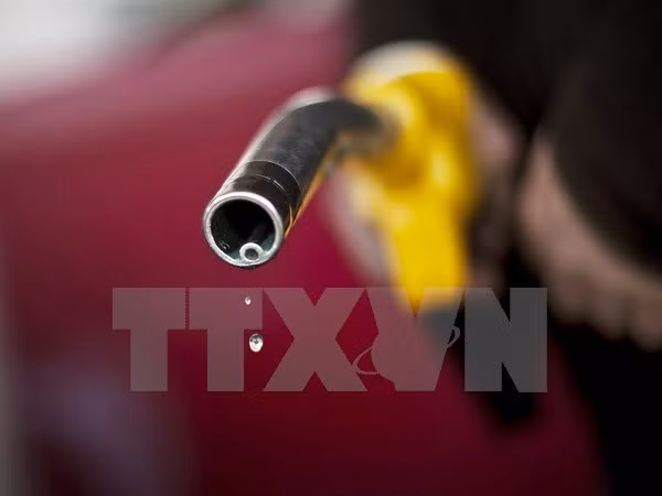 Ảnh minh họa. (Nguồn: AFP/TTXVN)