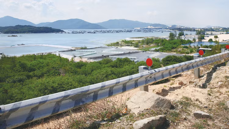 Cần có thể chế vượt trội để biến các cơ hội thành hiện thực và để đặc khu là điểm đến của những nhà đầu tư hạng nhất trên thế giới. Ảnh: Lê Tiên