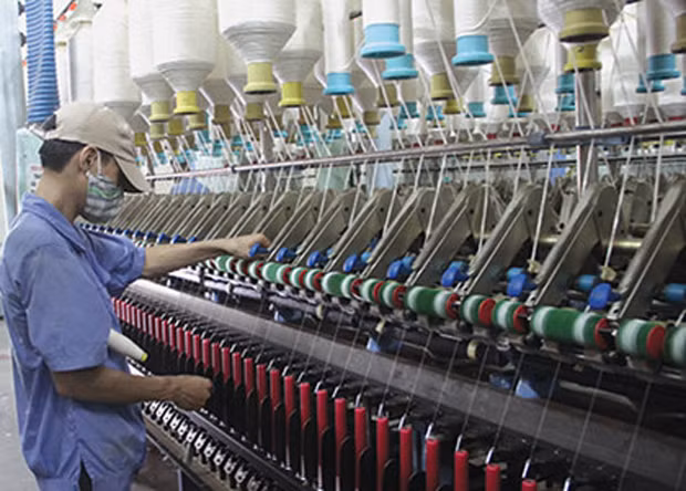 Ảnh chỉ mang tính minh họa (Nguồn: Internet)