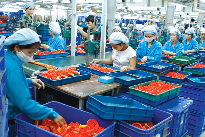 Điểm yếu của các doanh nghiệp nhựa - cao su là quy mô nhỏ lẻ, nằm rải rác trong các quận nội thành TP.HCM. Ảnh: Lê Tiên