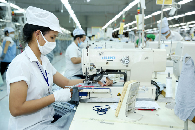 Cần tạo điều kiện cho sự xuất hiện các doanh nghiệp nội địa lớn để dẫn đầu chuỗi giá trị. Ảnh: Lê Tiên