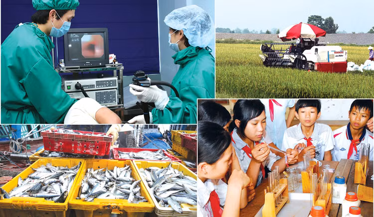 Theo các chuyên gia, mặc dù đề xuất tăng thuế VAT thông thường lên 12% không áp dụng cho nhóm lương thực, thực phẩm, y tế, giáo dục, nhưng người tiêu dùng ít nhiều vẫn bị ảnh hưởng. Ảnh: Lê Tiên