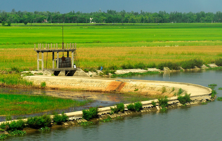 Công tác đấu thầu trong lĩnh vực thủy lợi, giao thông nông thôn thời gian qua có nhiều vấn đề khiến nhà thầu bức xúc. Ảnh: Hoài Tâm
