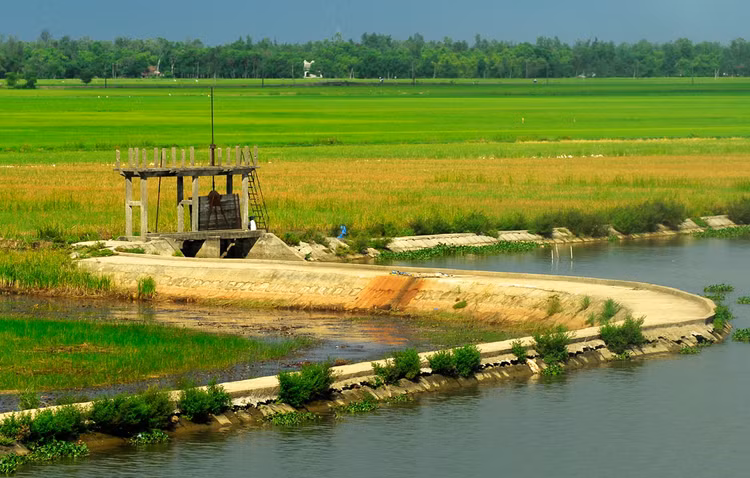 Công tác đấu thầu trong lĩnh vực thủy lợi, giao thông nông thôn thời gian qua có nhiều vấn đề khiến nhà thầu bức xúc. Ảnh: Hoài Tâm