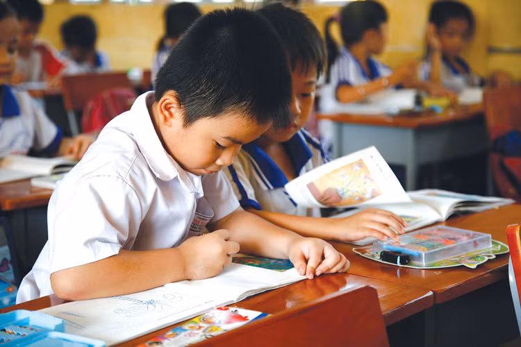 2 gói thầu mua sắm thiết bị lớp học của Trường Tiểu học Trần Quang Cơ và Trường Tiểu học Dương Minh Châu tại TP.HCM bị kiến nghị về kết quả lựa chọn nhà thầu. Ảnh: Tiên Giang