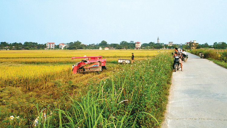 Nhiều chính sách khuyến khích DN đầu tư vào nông nghiệp
