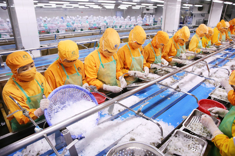 Phát triển khu vực tư nhân mạnh mẽ hơn chính là động lực quan trọng cho tăng trưởng trong thời gian tới. Ảnh: Lê Tiên