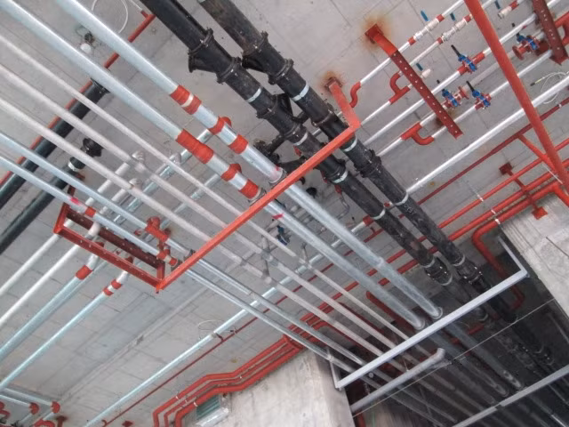 Ảnh chỉ mang tính minh họa. Nguồn Internet