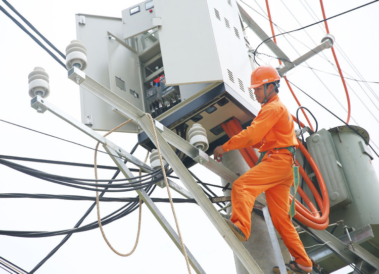 Trong 3 năm trở lại đây, Công ty CP Thiết bị công nghiệp Hữu Hồng trúng 133 gói thầu ngành điện. Ảnh: Lê Tiên