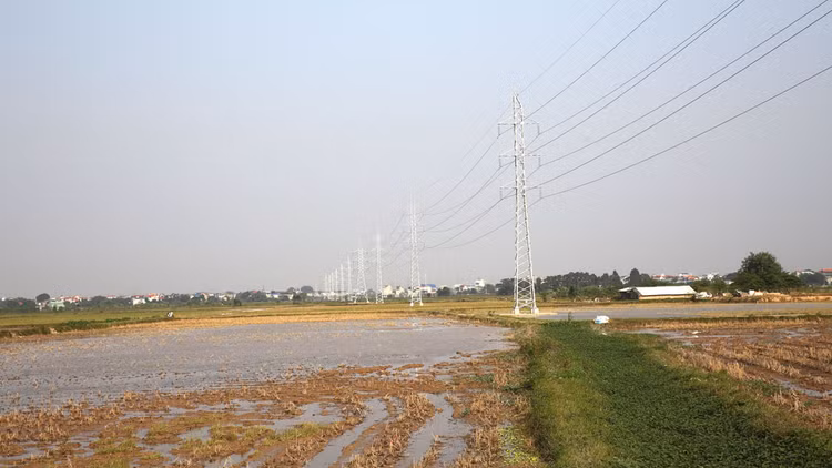 Thông qua đấu thầu rộng rãi, Gói thầu Xây lắp đường dây 500kV Tây Hà Nội - Thường Tín trị giá hơn 342 tỷ đồng đã đạt tỷ lệ tiết kiệm 31,1%. Ảnh: Nhã Chi