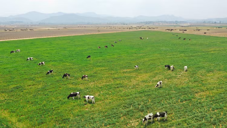 Vinamilk vào Top 50 DN quyền lực nhất châu Á