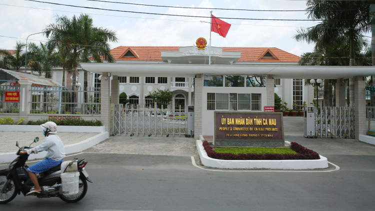 Ở hình thức mua sắm trực tiếp trong nước, theo báo cáo của UBND tỉnh Cà Mau, tỷ lệ giảm giá đạt được lên đến trên 25,6%. Ảnh: Lê Tiên