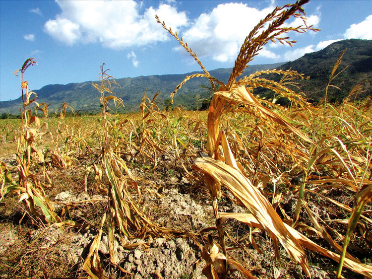 Chủ trương xây dựng hồ chứa nước Ka Pét tại Hàm Thuận Nam được kỳ vọng tạo nguồn cung cấp nước ổn định, cải thiện tình trạng khô hạn trên địa bàn. Ảnh: NC st