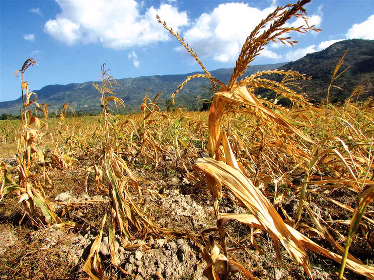 Chủ trương xây dựng hồ chứa nước Ka Pét tại Hàm Thuận Nam được kỳ vọng tạo nguồn cung cấp nước ổn định, cải thiện tình trạng khô hạn trên địa bàn. Ảnh: NC st