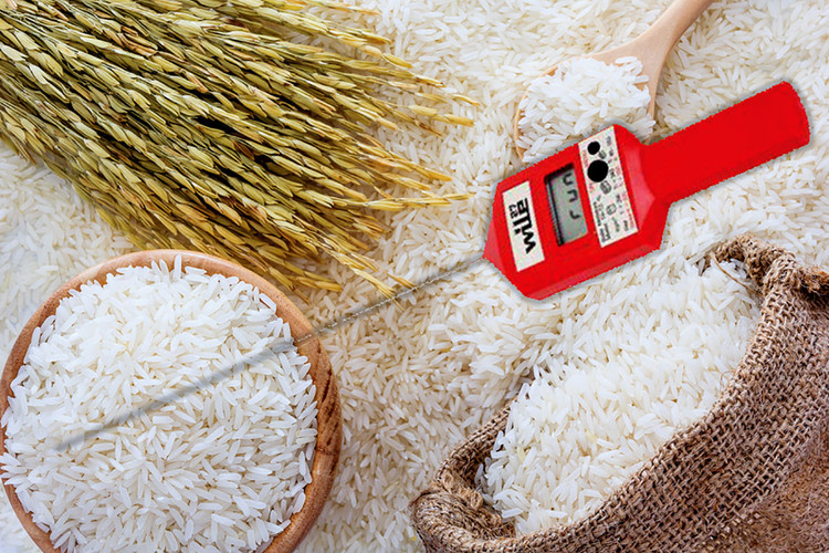 Nội dung chính của Gói thầu Mua sắm tài sản phục vụ công tác bảo quản lương thực dự trữ quốc gia là cung cấp 58 máy đo nồng độ khí N2; 34 xiên đo nhiệt độ, độ ẩm... Ảnh: Mai Quân