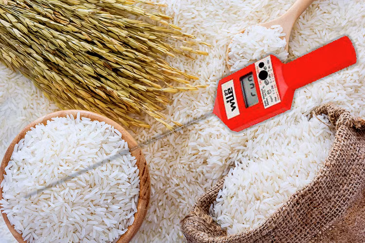 Nội dung chính của Gói thầu Mua sắm tài sản phục vụ công tác bảo quản lương thực dự trữ quốc gia là cung cấp 58 máy đo nồng độ khí N2; 34 xiên đo nhiệt độ, độ ẩm... Ảnh: Mai Quân