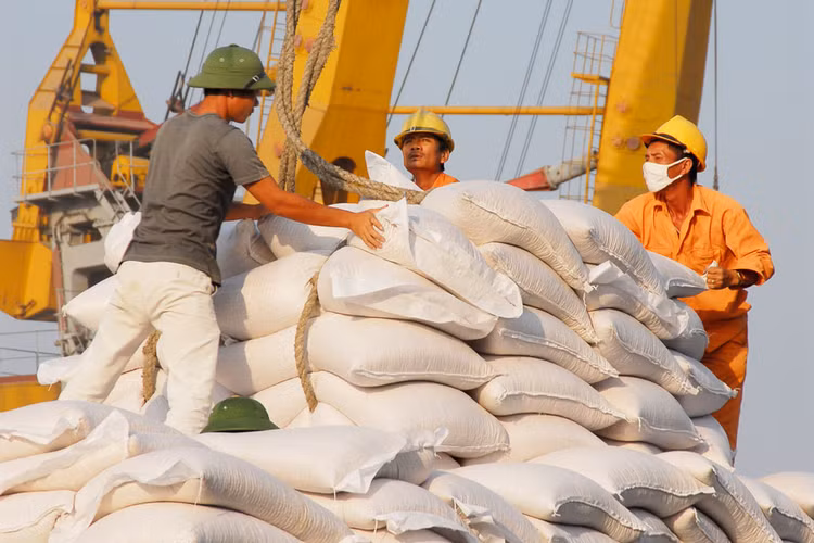 Chỉ riêng trong năm 2016, Vinafood 2 đã chỉ định thầu 70 trong tổng số 106 gói thầu. Ảnh: Minh Yến