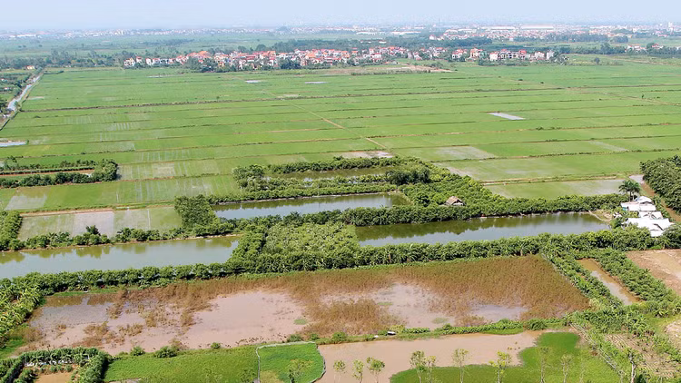 Quỹ đất chưa giải phóng mặt bằng thanh toán dự án BT phải nằm trong quy hoạch, kế hoạch sử dụng đất được cơ quan nhà nước có thẩm quyền phê duyệt