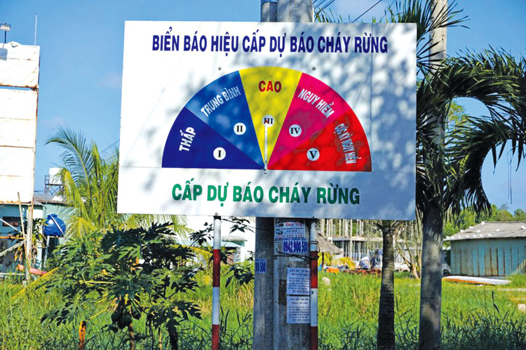 Gói thầu Làm biển bảng, tờ rơi tuyên truyền luật quản lý, bảo vệ rừng và phòng cháy, chữa cháy rừng năm 2018 của Văn phòng Chi cục Kiểm lâm tỉnh Hòa Bình là 1 trong 2 gói thầu bị kiến nghị. Ảnh minh họa