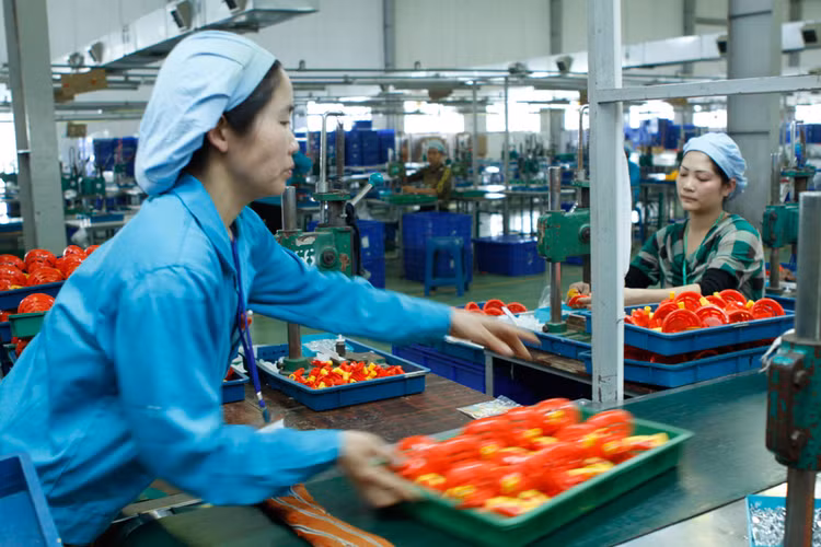 Nhiều giải pháp sẽ được triển khai để tạo thuận lợi cho doanh nghiệp. Ảnh: Hoài Tâm