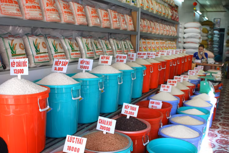 Việc nắm được doanh thu và số lao động của mỗi hộ kinh doanh là không dễ dàng. Ảnh: Tiên Giang