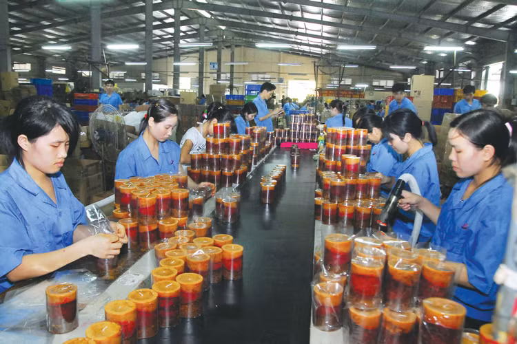 DNNVV cần được phân loại cụ thể theo quy mô và ngành nghề kinh doanh để làm cơ sở cho việc hoạch định các chính sách. Ảnh: Lê Tiên