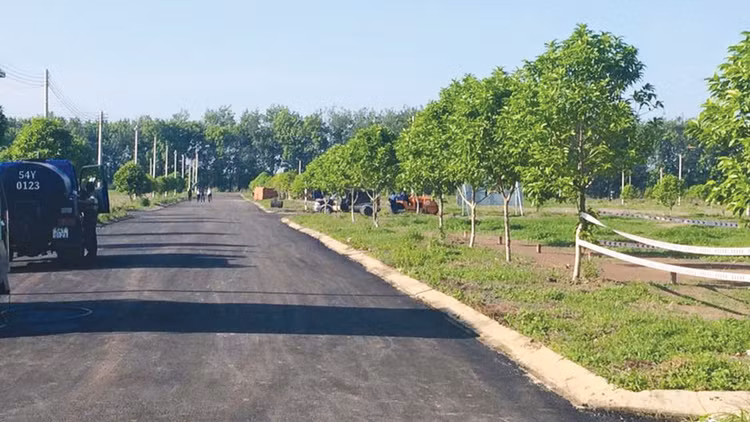 Nếu được lựa chọn trúng thầu, Nhà đầu tư sẽ được nhận lại 472 lô đất ở với giá 2,5 triệu đồng/m2 để hoàn vốn. Ảnh: st