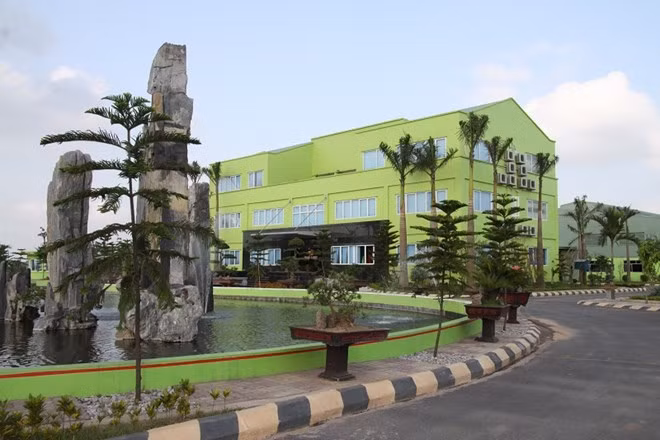 AAA lãi trước thuế 50,6 tỷ đồng, vượt 68,8% kế hoạch