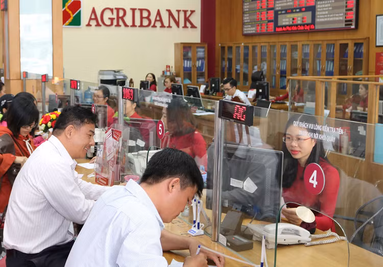 Nhiều năm qua, Agribank chưa được Nhà nước đầu tư bổ sung vốn điều lệ, tỷ lệ an toàn vốn bị suy giảm. Ảnh: Lê Tiên