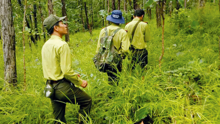 Gói thầu Mua sắm trang phục kiểm lâm năm 2019 của Chi cục Kiểm lâm tỉnh Điện Biên bị hủy thầu do cả 3 nhà thầu nộp HSDT đều không đáp ứng yêu cầu của HSMT. Ảnh: Văn Khương (Dân Việt)