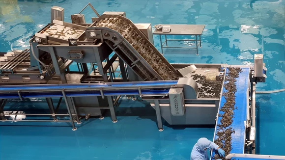 Đấu giá nhà xưởng và dây chuyền sản xuất thức ăn thủy sản Mekong Aqua với giá từ 13,7 tỷ đồng