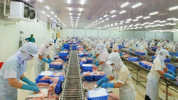 Đấu giá toàn bộ nhà xưởng và hệ thống máy móc của Công ty Ngọc Thái. Ảnh minh họa: Internet