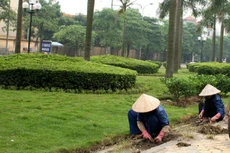 Ảnh chỉ mang tính minh họa