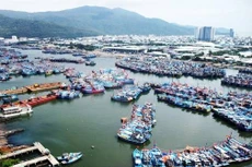 Điểm tin kế hoạch lựa chọn nhà thầu một số gói thầu lớn ngày 11/11/2025