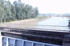 Liên danh 2 thành viên trúng gói thầu 137 tỷ đồng gia cố kênh Hưng Long, Thanh Hóa