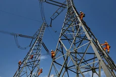 Điểm tin kế hoạch lựa chọn nhà thầu một số gói thầu lớn ngày 11/12/2025