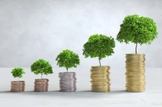 Hạ tầng giao thông Đèo Cả báo lãi 324,3 tỷ đồng sau nửa năm, tăng 33%