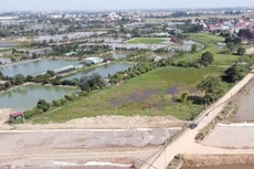 Điểm tin kế hoạch lựa chọn nhà thầu một số gói thầu lớn ngày 4/12/2025