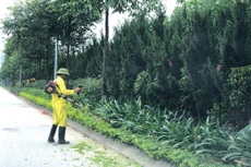 Hải Phòng đồng loạt đấu thầu dịch vụ công ích năm 2026