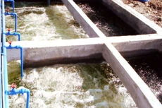 Gói EPC xử lý nước thải Bệnh viện tỉnh Nghệ An: 1 nhà thầu tham dự