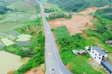 Điểm tin kế hoạch lựa chọn nhà thầu một số gói thầu lớn ngày 24/11/2025