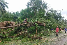 Ảnh chỉ mang tính minh họa: Internet