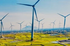 VINENERGO đăng ký đầu tư Dự án Nhà máy Điện gió Vĩnh Thuận 4.679 tỷ đồng