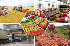 8 tháng, xuất khẩu nông, lâm, thủy sản tăng 12%