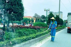 Ảnh chỉ mang tính minh họa