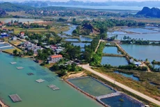 Quảng Ninh: 1 nhà thầu tham dự gói thầu hạ tầng khu tái định cư hơn 115 tỷ đồng