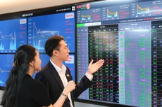 Luỹ kế 9 tháng đầu năm 2025, Rồng Việt ghi nhận tổng doanh thu 818 tỷ đồng và lợi nhuận sau thuế đạt 260 tỷ đồng