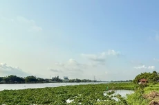 Liên danh 7 thành viên trúng gói thầu thủy lợi 155 tỷ đồng tại TP.HCM