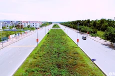 Liên danh Cây xanh Hà Đô - Thương mại 68 trúng gói thầu 66 tỷ đồng tại Nghệ An